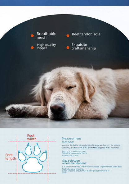Non-Slip Waterproof Dog Boots (Set of 4)